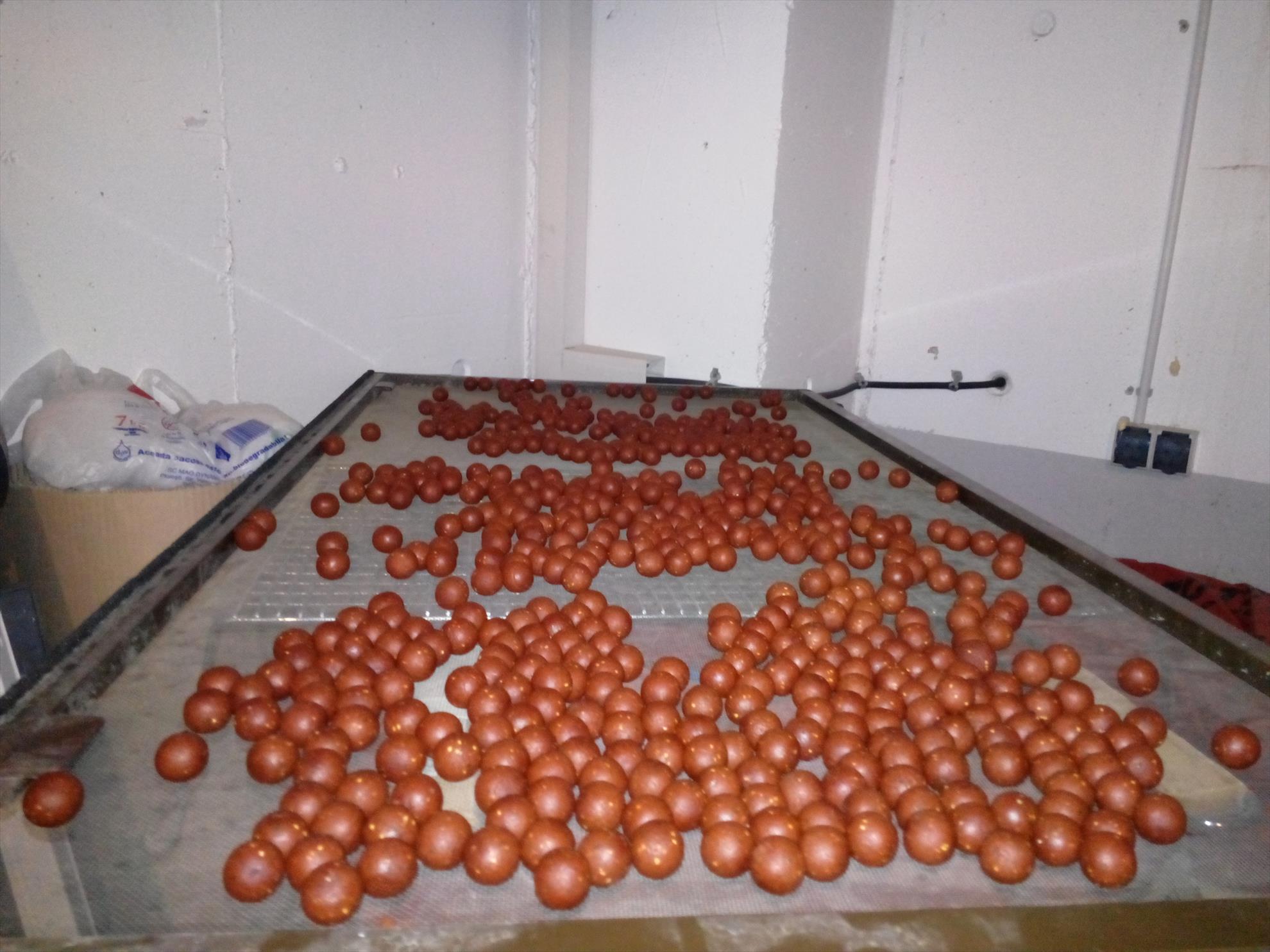 Sa facem bile, am zis.... - img20140509215017930.jpg